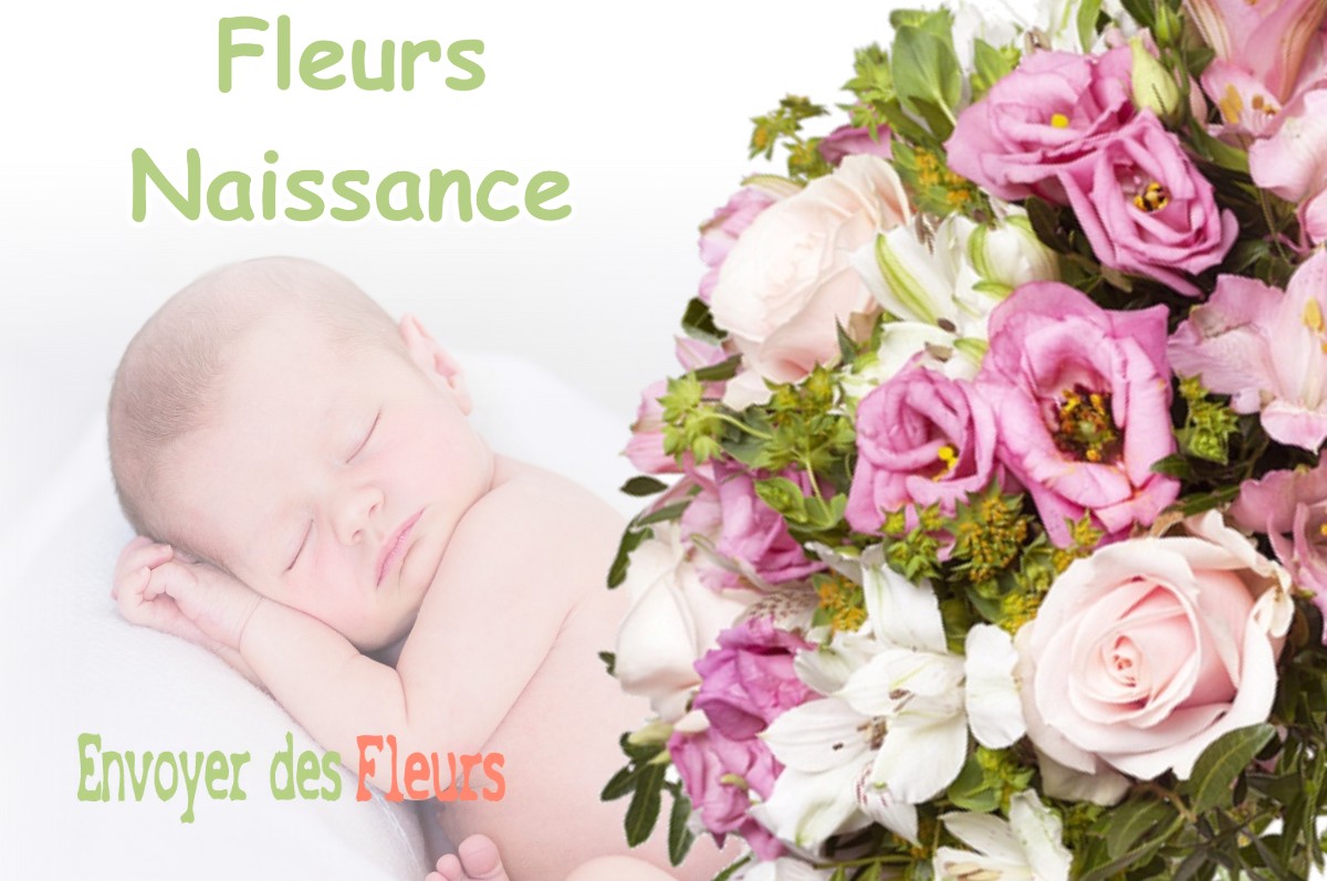 lIVRAISON FLEURS NAISSANCE à DOUCIER